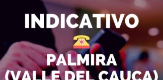 indicativos palmira valle del cauca